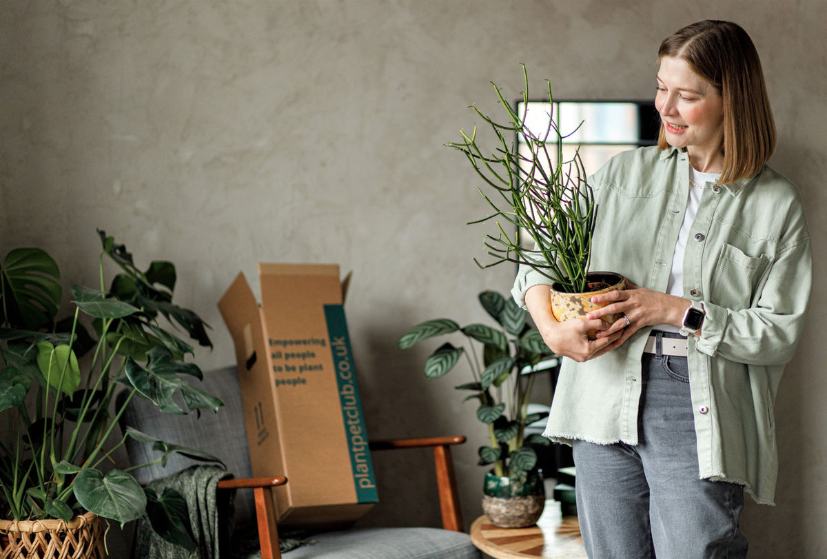 Houseplant Subscriptions Free Delivery PetFriendly Option Plant