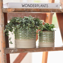 Load image into Gallery viewer, Nikkie Ice Green Pot