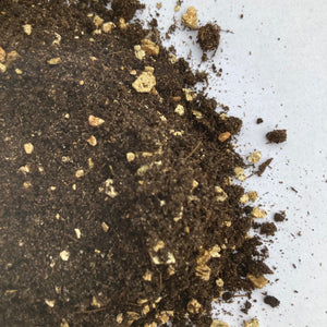 fern soil mix