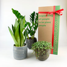 Load image into Gallery viewer, Plant Pet Subscription Offer - 12 Months