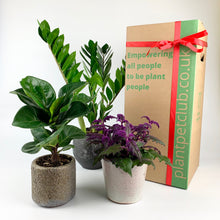 Load image into Gallery viewer, Plant Pet Subscription Offer - 3 Months
