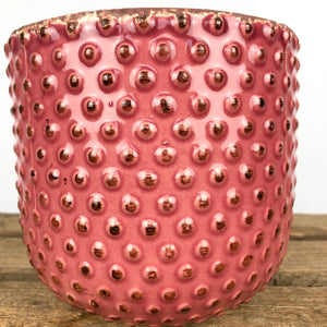 Pink Berry Pot